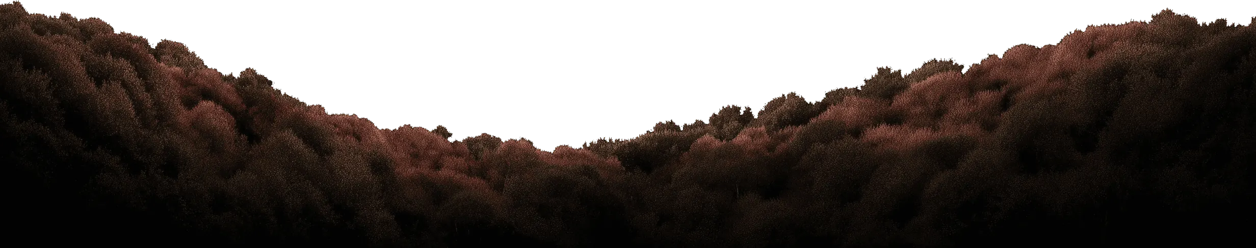 Transparent image of grass hills